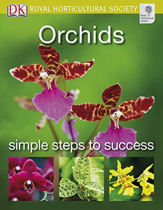 Orchids 