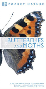 Butterflies and Moths 