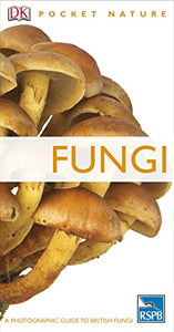 Fungi 