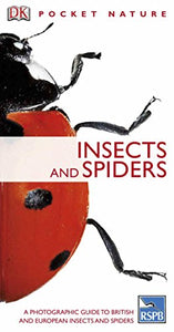 Insects and Spiders 