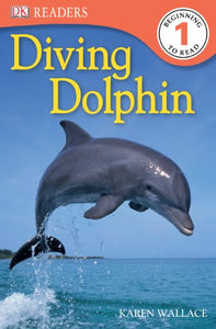 Diving Dolphin 