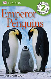 Emperor Penguins 