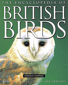 British Birds 