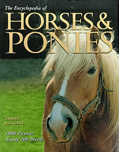 Horses 