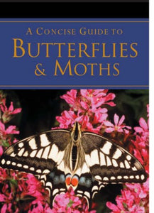 A Concise Guide to Butterflies 