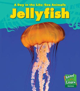 Jellyfish 