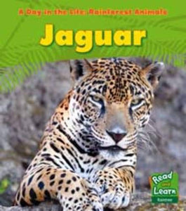 Jaguar 