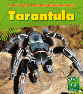 Tarantula 