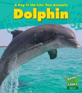 Dolphin 