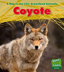 Coyote 