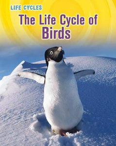 The Life Cycle of Birds 