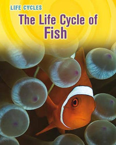 The Life Cycle of Fish 