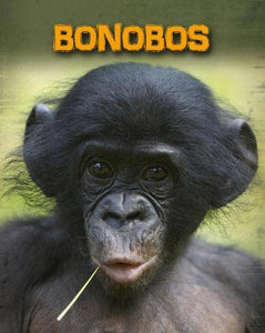 Bonobos 