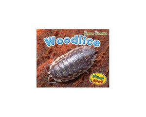 Creepy Crawlies Pack B of 5 