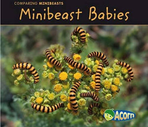 Minibeast Babies 