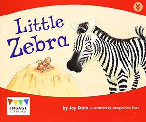 Little Zebra 