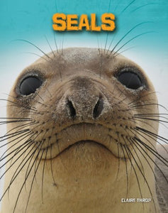 Seals 