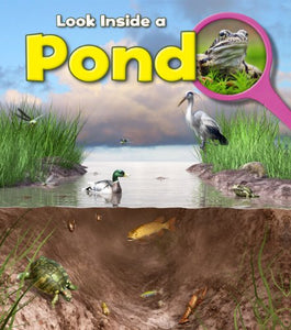 Pond 