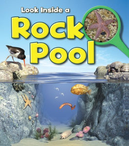 Rock Pool 