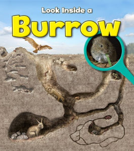 Burrow 