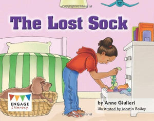 The Lost Sock 