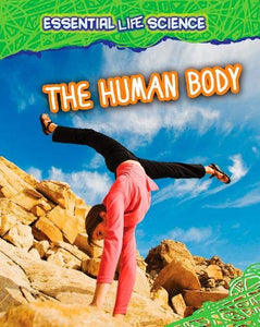 The Human Body 