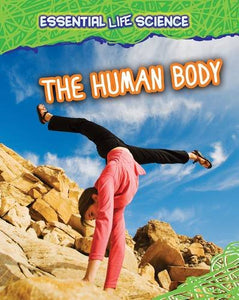 The Human Body 