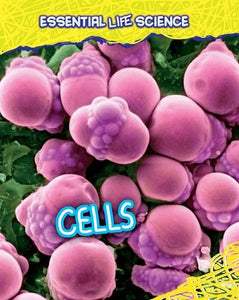 Cells 