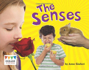 The Senses 