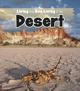 Living and Non-living in the Desert 