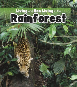 Living and Non-living in the Rainforest 