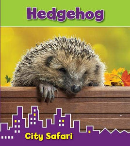 Hedgehog 