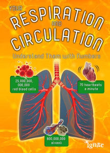 Your Respiration and Circulation 