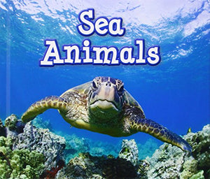 Sea Animals 