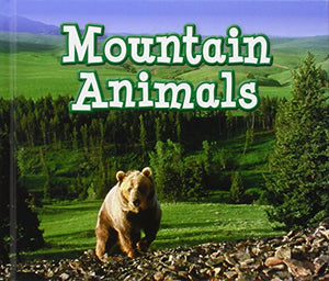 Mountain Animals 