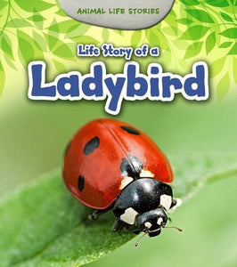 Life Story of a Ladybird 