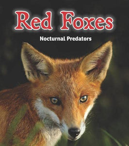 Red Foxes 