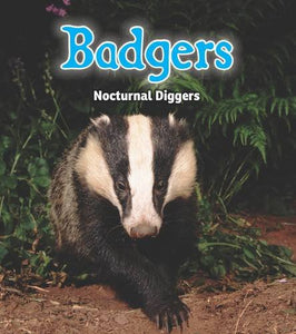 Badgers 