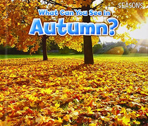 What Can You See In Autumn? 