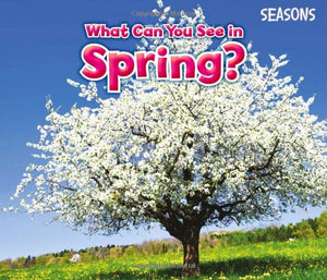 What Can You See In Spring? 