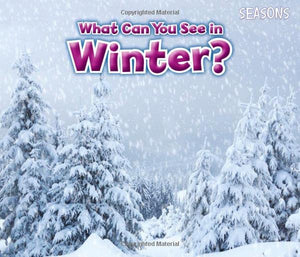 What Can You See In Winter? 