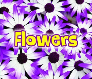 All About Flowers 