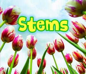 All About Stems 