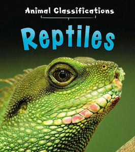 Reptiles 