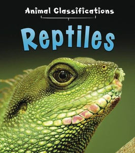 Reptiles 