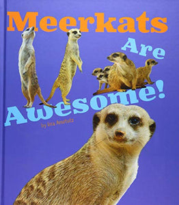 Meerkats Are Awesome! 