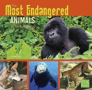 The Most Endangered Animals in the World 