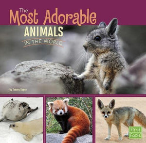 The Most Adorable Animals in the World 