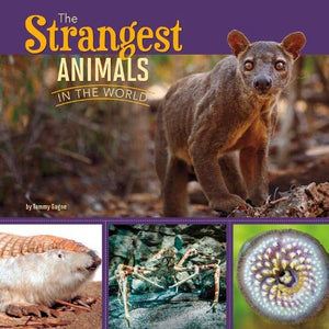 The Strangest Animals in the World 