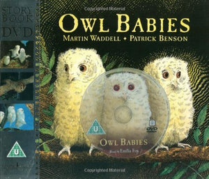 Owl Babies 